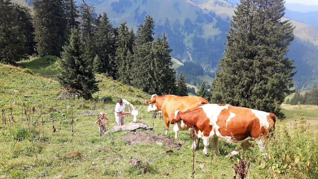 Bio-Bauernhof Hatzbauer Мария Алм ам Щайнернен Мер Екстериор снимка